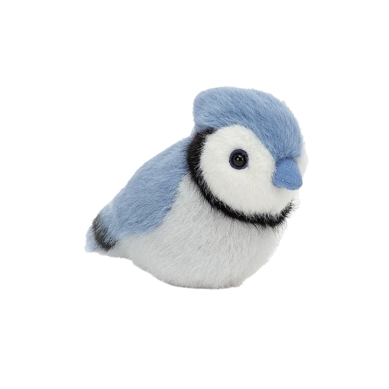 Birdling Blue Jay